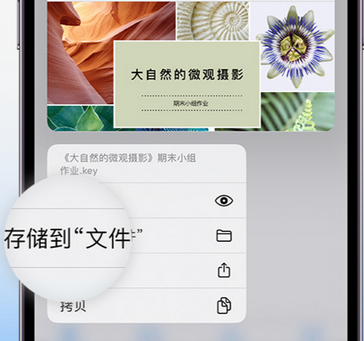 北大镇apple维修中心分享iPhone文件应用中存储和找到下载文件