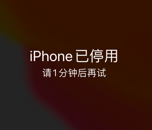 北大镇苹果手机维修分享:iPhone 显示“不可用”或“已停用”怎么办？还能保留数据吗？ 