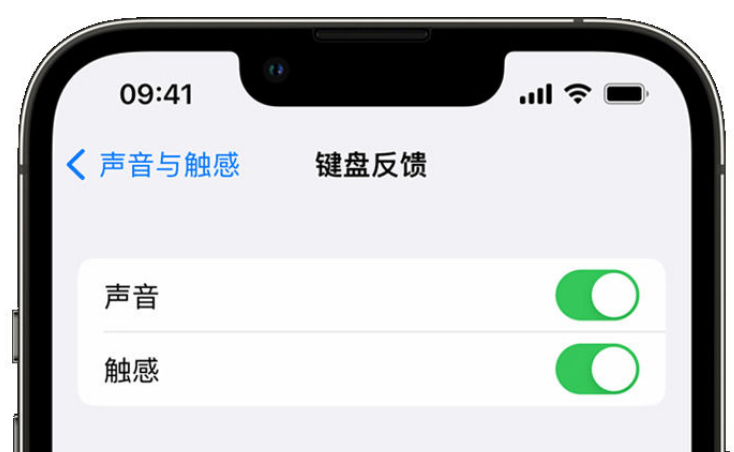 北大镇苹果手机维修分享iPhone 14触感键盘使用方法 