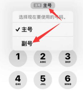 北大镇苹果14维修店分享iPhone 14 Pro Max使用副卡打电话的方法 