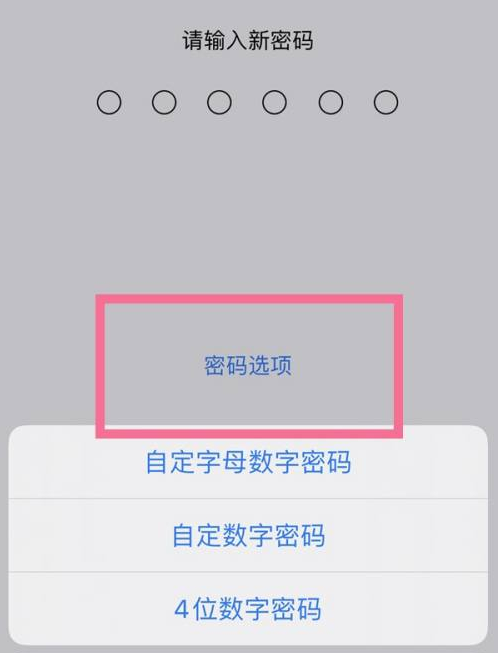 北大镇苹果14维修分享iPhone 14plus设置密码的方法 