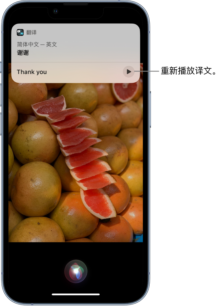 北大镇苹果14维修分享 iPhone 14 机型中使用 Siri：了解 Siri 能帮你做什么 