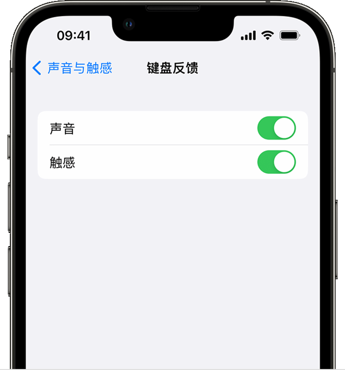 北大镇苹果14维修分享iPhone 14 系列机型如何开启键盘声音或触感反馈 