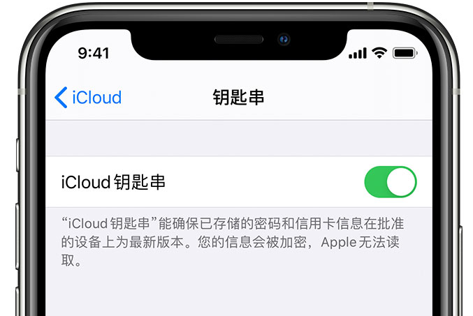 北大镇苹果手机维修分享在 iPhone 上开启 iCloud 钥匙串之后会储存哪些信息 