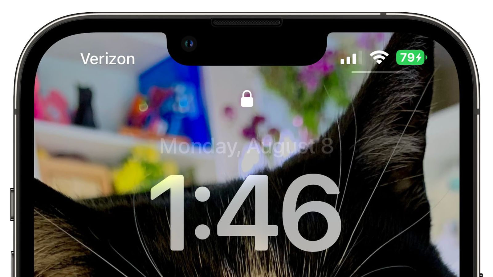 北大镇苹果手机维修分享iOS 16 beta 5 支持状态栏显示电池百分比，如何开启？支持哪些机型 