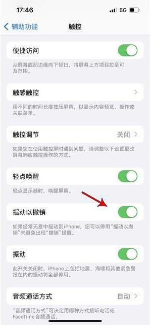 北大镇苹果手机维修分享iPhone手机如何设置摇一摇删除文字 