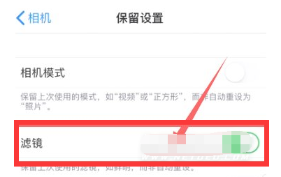 北大镇苹果13维修分享iPhone13拍照有绿点是怎么回事 