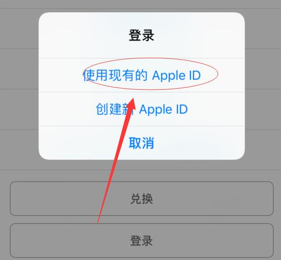 北大镇苹果手机维修分享两台iPhone设备可以同时登录一个Apple ID吗 
