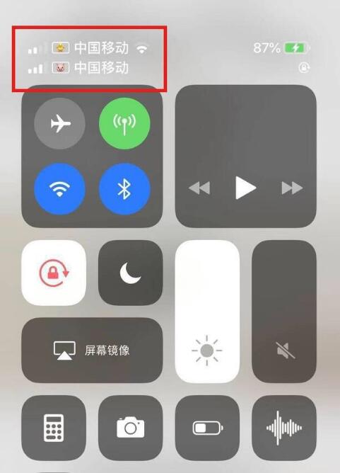 北大镇苹果手机维修分享为 iPhone 12 双卡设置标签 