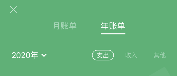 北大镇苹果手机维修分享如何在 iPhone 上查看支付宝和微信年支出账单 
